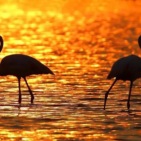 Port Et Iles D'or. *